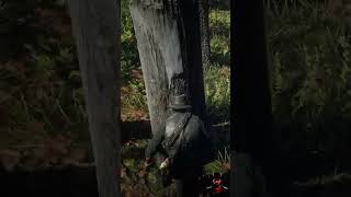 Exotic Sparrow Egg Orchid Location RDR2  reddeadredmption2 gaming rdrgameplay CowBoy [upl. by Ginevra]