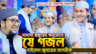 মাদানী হুজুরের অনুরোধে যে গজল গাইলেন।জুবায়ের আহমদ তাশরীফ।Qari Jubayer Ahmad Tasrif New Gojol 2024 [upl. by Noyad]