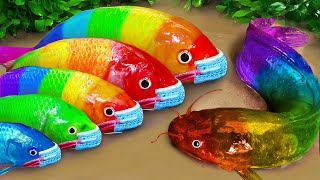 Stop Motion ASMR  Battle of fish  Catfish hunting colorful Koi Fish Eels [upl. by Malaspina404]