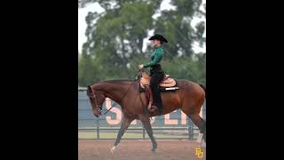 Baylor Equestrian Highlights vs Fresno St  November 1 2024 [upl. by Dorman92]