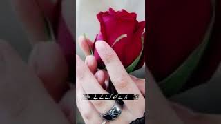 Kitni ajeeb hai  🥰gunahon ki justajo iqbal shorts  urdu poetry [upl. by Eulalia]