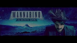 mannarino live taormina [upl. by Enirrok740]