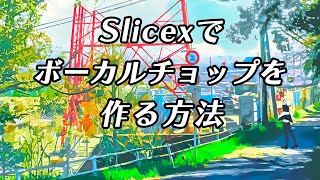 【FLStudio】Slicexでボーカルチョップを作る方法 [upl. by Kelley55]