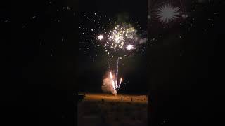 150s Paralysis Firework 14g proline [upl. by Aikemal854]