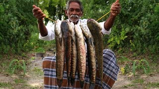 Snakehead Fish Recipe  Delicious Murrel Fish curry  Koramenu Fish Curry  Grandpa Kitchen [upl. by Nakhsa189]