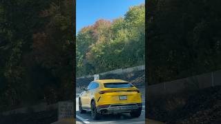 Golden Power Yellow Lamborghini Truck Dominates the Roads of Pennsylvania [upl. by Annaoi]