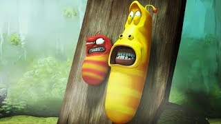 LARVA  TYPHOON 2  Larva 2017  Cartoons  Comics  Larva Cartoon  LARVA Official [upl. by Lexis]