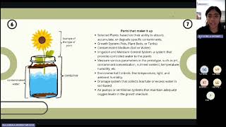 quotPhytoremediationquot STEM Quimica [upl. by Navac210]