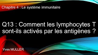 Chap 4  Le système immunitaire  Q13  Comment les lymphocytes T sont activés par les antigènes [upl. by Gord380]