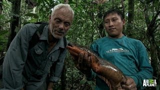 Face to Face with an Electric Eel  River Monsters [upl. by Wearing510]