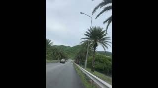 Driving in st Martin vacation palmtrees mountains 2024 [upl. by Paley]