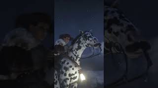 RDR2 • Leopard Appaloosa Horse • Red Dead Redemption 2 [upl. by Cristie847]