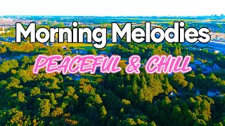 Peaceful Morning Classic  Chill Rhumba amp Cha Cha Cha Instrumental Melodies  Relaxing Morning Vibes [upl. by Meggy]