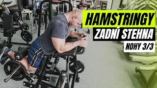 HAMSTRINGY  Zásobník cviků na zadní stehna Jak zesílit nohy [upl. by Reivaz223]