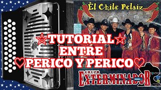 Tutorial completo Entre perico y perico GRUPO EXTERMINADOR [upl. by Riti]