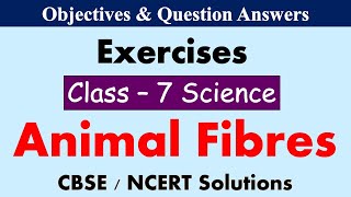 Animal Fibres  Class  7 Science  Exercises amp Question Answers  CBSE  NCERT Syllabus [upl. by Odraboel]