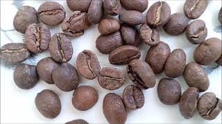 Arabica Coffee Robusta Coffee How to Brew Arabica Coffee [upl. by Aimahs680]