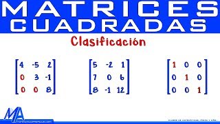 Matrices cuadradas Clasificación [upl. by Hannavahs55]