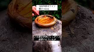 1000年前のワイン開けてみた [upl. by Oria]