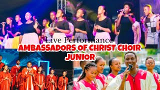 Ambassadors of Christ Choir Junior  Indirimbo nziza cyane Live concert 2024 [upl. by Bonnell609]