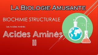 S3 BIOCHIMIE STRUCTURALE  les acides aminés  partie 2 [upl. by Elias879]