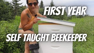 Unexperienced beekeeper shares full first year POV Start to finish 1080P [upl. by Onilegna]