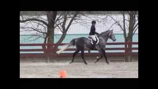 Adult walk trot equitation class [upl. by Burlie]