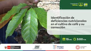 Identificación de deficiencias nutricionales en el cultivo de café y su corrección [upl. by Iturk]