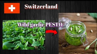 How to prepare wild garlic PESTO  Ail des Ours PESTO homemade easyrecipes pesto [upl. by Nnitsuj]