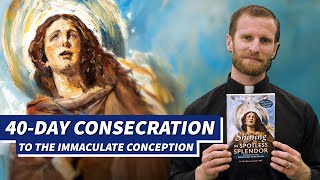 Consecrate Yourself to the Immaculate Conception  Fr Thaddaeus Lancton MIC [upl. by Nyrad]