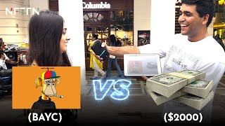 BAYC Bored Ape Yacht Club vs 2000 Cash  What Will The Public Choose [upl. by Euton]