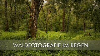 Landschaftsfotografie Tutorial  Den verregneten Wald fotografieren [upl. by Senn]