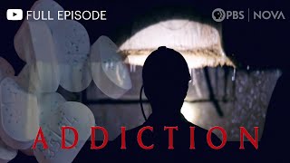 Addiction I Full Documentary I NOVA I PBS [upl. by Garfinkel]