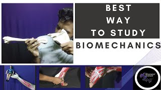 BEST WAY TO STUDY BIOMECHANICS [upl. by Cilegna]