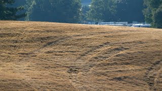 East Lake Golf Club renovations create stink in surrounding neighborhood [upl. by Nickelsen]