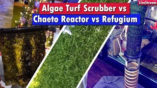 Algae Turf Scrubber Vs Chaeto Reactor Vs Refugium  Which nutrient export system is best for you [upl. by Amoihc185]