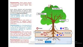 PHYTOREMEDIATION lIVE LECTURE [upl. by Geoffrey]