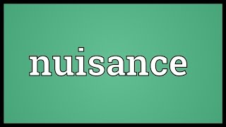 Nuisance Meaning [upl. by Annodal65]