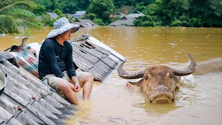 Devastating Floods in Vietnams Northwest  SAPA TVs Aid to Help Families Rebuild  SAPA TV [upl. by Hoj]