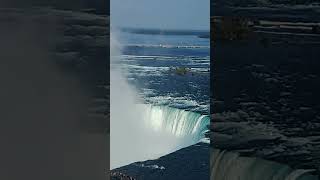 Petite Mom USA is live Embassy Suite Niagara Falls [upl. by Resor]