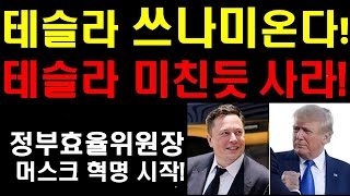 테슬라 쓰나미가 온다 미친듯이 테슬라 사라 머스크 정부효율위원장 공식임명 트럼프는 머스크에게 4가지를 요청했다 머스크발 혁신이 온다 테슬라에겐 엄청난 기회가 오고 있다 [upl. by Desberg]