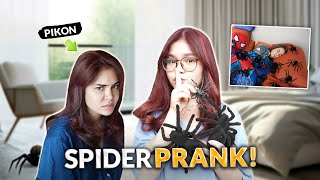 SPIDER REVENGE PRANK  IVANA ALAWI [upl. by Repard53]