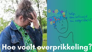 Hoe voelt overprikkeling [upl. by Ahsaeym]