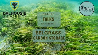 Nature Talks Community Eelgrass Restoration Initiative [upl. by Alf]