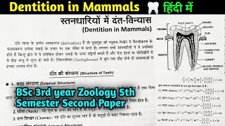 Dentition in Mammals  BSc 3rd year Zoology 5th semester Second paper in Hindi [upl. by Yenahc139]