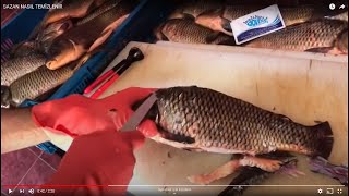 SAZAN NASIL TEMİZLENİR how to clean carp BALIK TEMİZLEME  BALIK PİŞİRME [upl. by Collar]