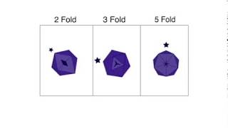 2fold 3fold and 5fold axis of rotation in an icosahedron virus capsid [upl. by Kaycee]