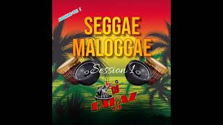 Mix Seggae Maloggae DJ LAKAZ 974 [upl. by Iatnohs]