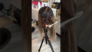 Braided Balayage Lowlight Technique  Abigail Resch Hairstylist [upl. by Alioz]