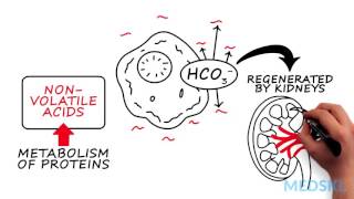 Nephrology – AcidBase Abnormalities By Bernard Unikowsky MD [upl. by Bassett230]